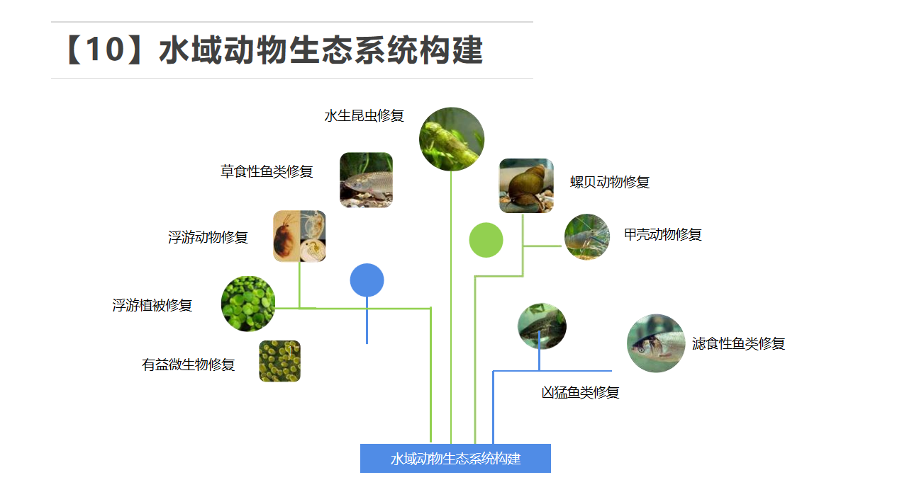 1775629663613809.png 1775629663613809.png