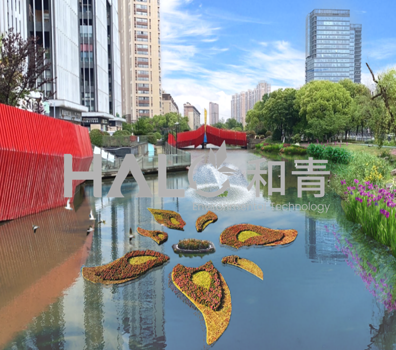 水生态 - 河道治理运维项目
